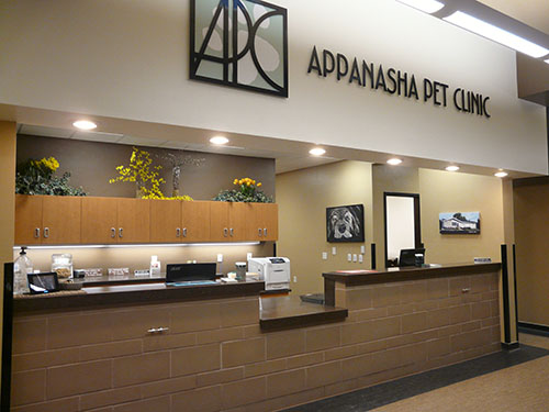Appanasha Pet Clinic Reception Desk